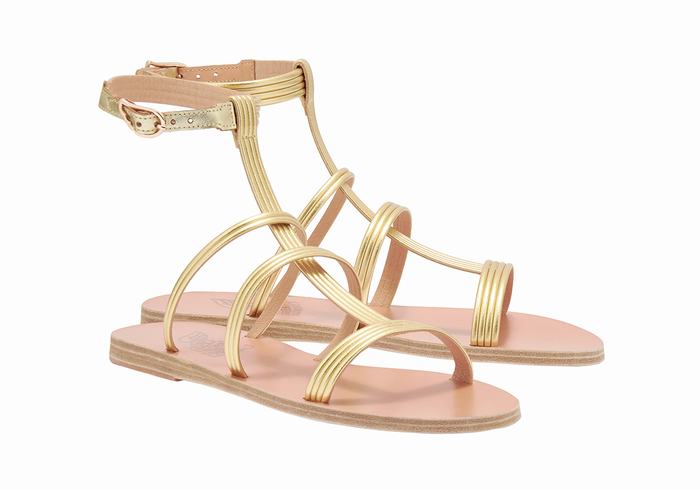 Sandali Con Cinturino Ancient Greek Sandals Frigia Donna Oro | LZV5986AK