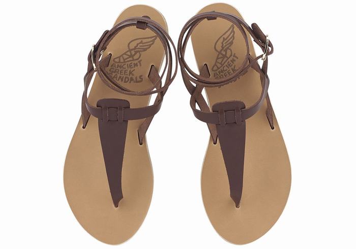 Sandali Con Cinturino Ancient Greek Sandals Estia Leather Donna Caffè | HOY8016UO