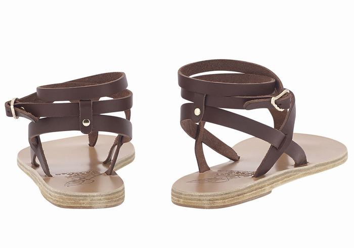 Sandali Con Cinturino Ancient Greek Sandals Estia Leather Donna Caffè | HOY8016UO