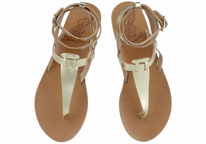 Sandali Con Cinturino Ancient Greek Sandals Estia Leather Donna Oro Bianche | BKO5255WP