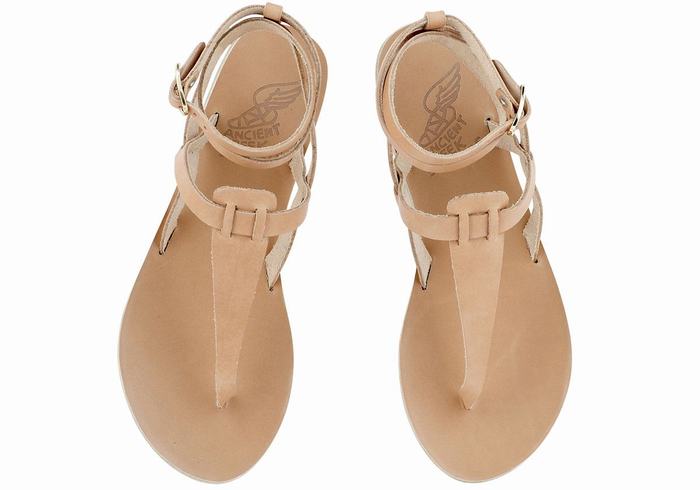 Sandali Con Cinturino Ancient Greek Sandals Estia Leather Donna Beige | CQZ2054XU