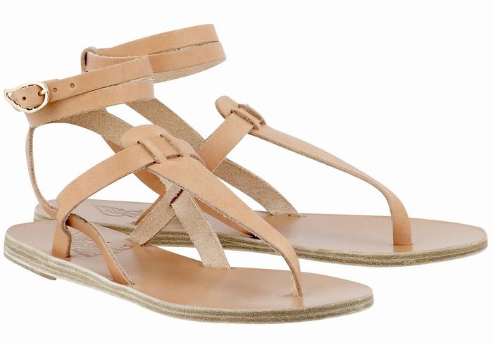 Sandali Con Cinturino Ancient Greek Sandals Estia Leather Donna Beige | CQZ2054XU