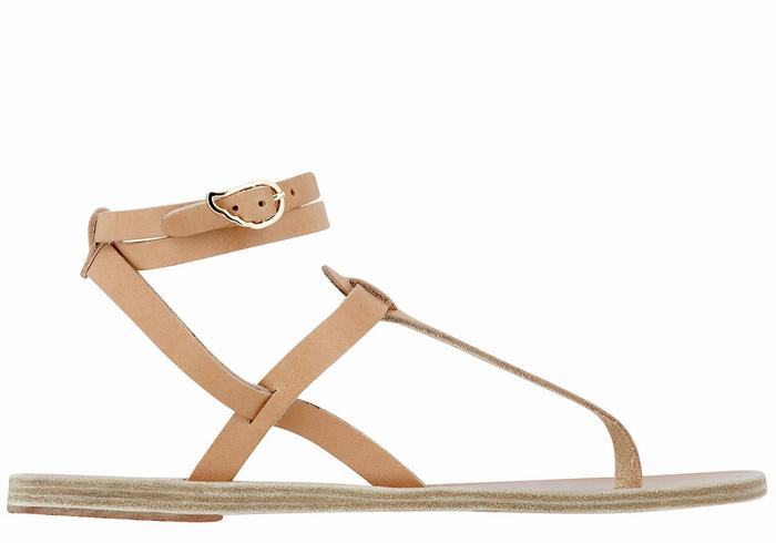 Sandali Con Cinturino Ancient Greek Sandals Estia Leather Donna Beige | CQZ2054XU