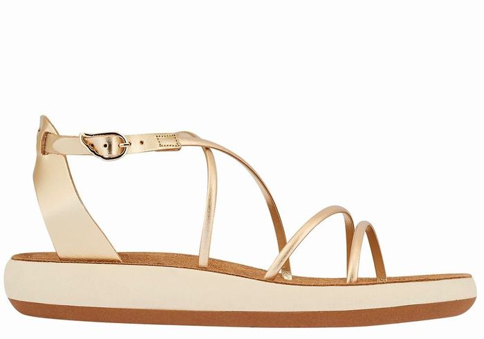 Sandali Con Cinturino Ancient Greek Sandals Anastasia Comfort Donna Oro Bianche | AJV9435LJ