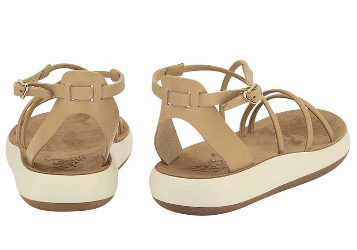 Sandali Con Cinturino Ancient Greek Sandals Anastasia Comfort Donna Beige | FPF230VG