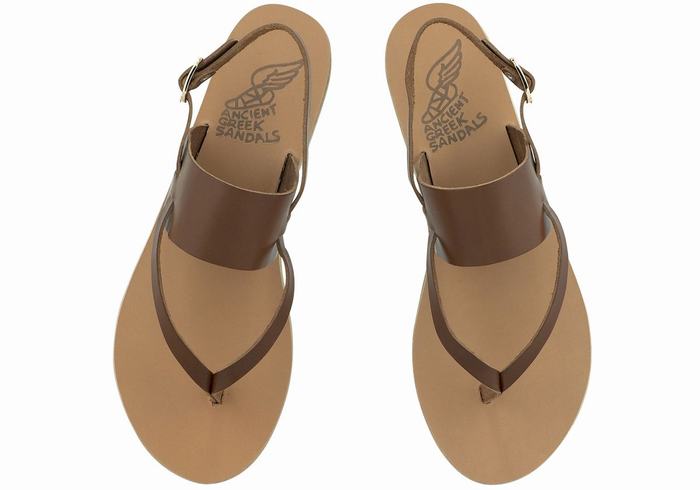 Sandali Con Cinturino Sul Retro Ancient Greek Sandals Zoe Flip Flop Leather Donna Marroni Scuro | SQP820VK