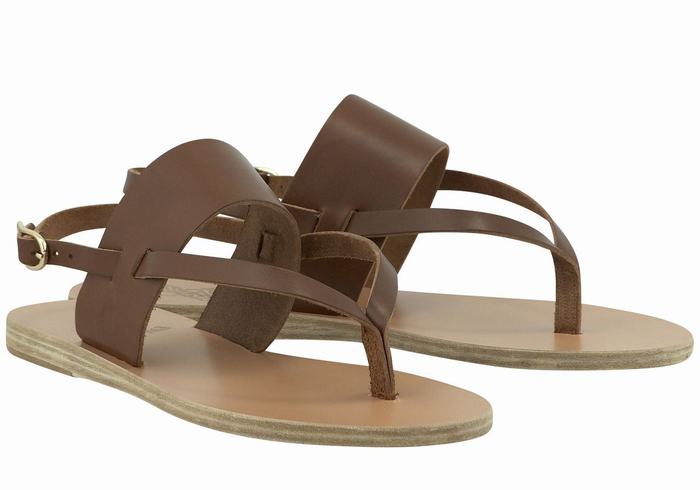 Sandali Con Cinturino Sul Retro Ancient Greek Sandals Zoe Flip Flop Leather Donna Marroni Scuro | SQP820VK