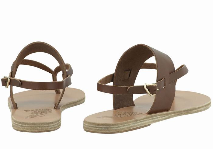 Sandali Con Cinturino Sul Retro Ancient Greek Sandals Zoe Flip Flop Leather Donna Marroni Scuro | SQP820VK