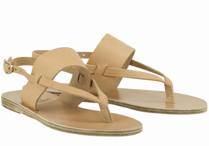 Sandali Con Cinturino Sul Retro Ancient Greek Sandals Zoe Flip Flop Leather Donna Beige | EAF7395CX