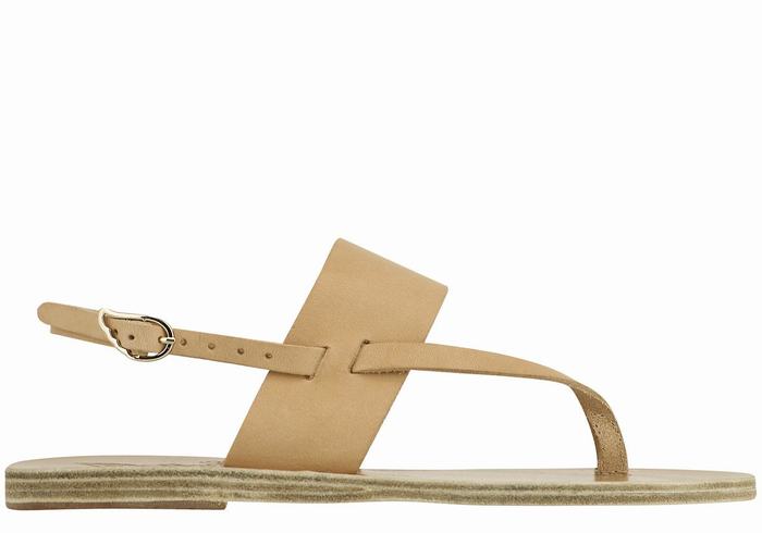 Sandali Con Cinturino Sul Retro Ancient Greek Sandals Zoe Flip Flop Leather Donna Beige | EAF7395CX