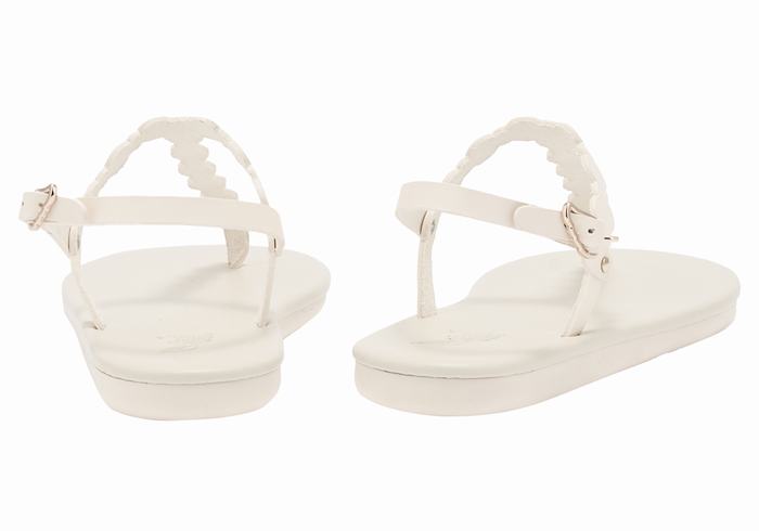 Sandali Con Cinturino Sul Retro Ancient Greek Sandals Velos Flip Flop Donna Bianche | GCF7613VJ