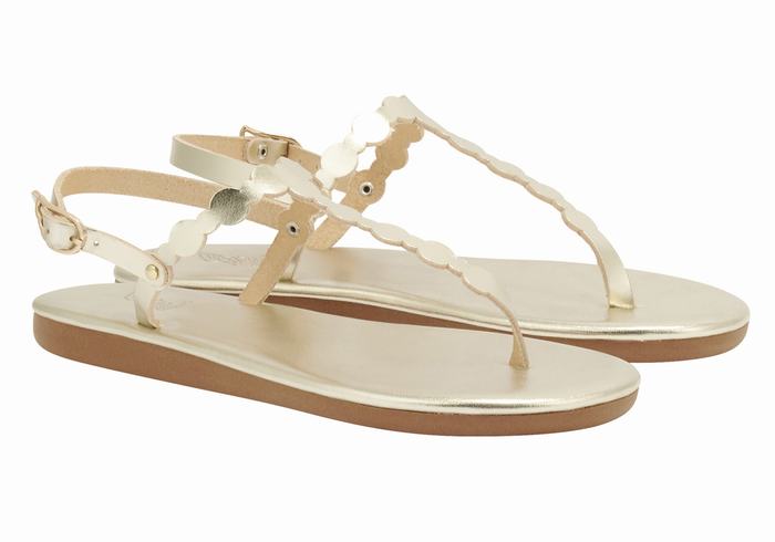 Sandali Con Cinturino Sul Retro Ancient Greek Sandals Velos Flip Flop Donna Oro Bianche | HIO10071FY