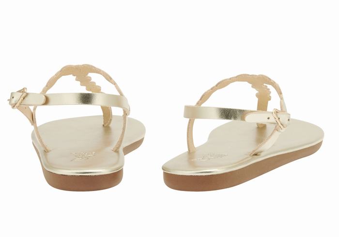 Sandali Con Cinturino Sul Retro Ancient Greek Sandals Velos Flip Flop Donna Oro Bianche | HIO10071FY