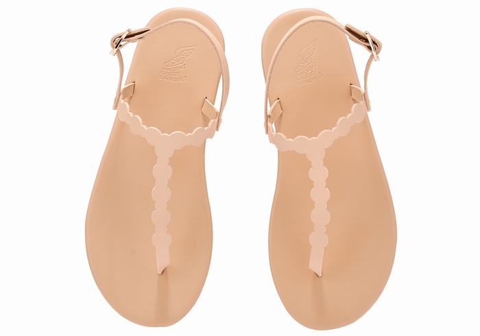 Sandali Con Cinturino Sul Retro Ancient Greek Sandals Velos Flip Flop Donna Beige | KZT5922RS