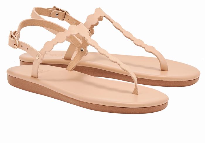 Sandali Con Cinturino Sul Retro Ancient Greek Sandals Velos Flip Flop Donna Beige | KZT5922RS