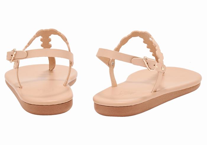 Sandali Con Cinturino Sul Retro Ancient Greek Sandals Velos Flip Flop Donna Beige | KZT5922RS