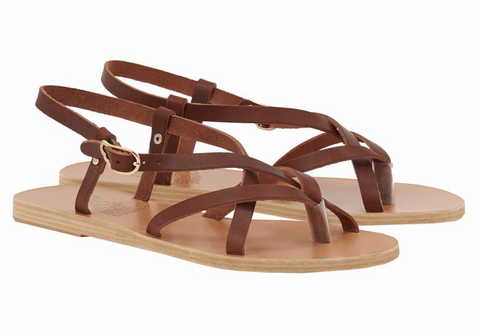 Sandali Con Cinturino Sul Retro Ancient Greek Sandals Semele Leather Donna Caffè | NWE8056ES