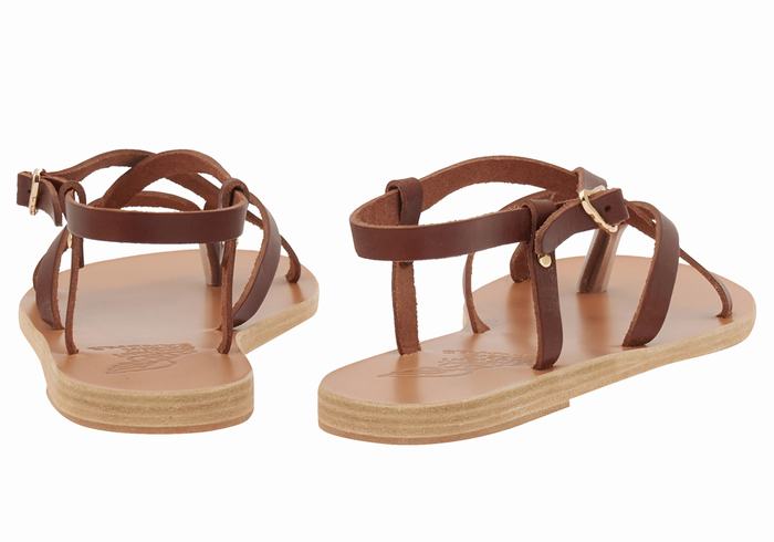 Sandali Con Cinturino Sul Retro Ancient Greek Sandals Semele Leather Donna Caffè | NWE8056ES