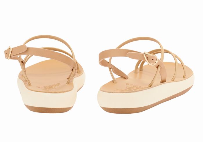 Sandali Con Cinturino Sul Retro Ancient Greek Sandals Polis Donna Beige | XTY1527AK