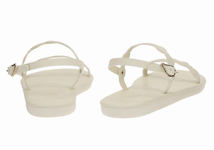 Sandali Con Cinturino Sul Retro Ancient Greek Sandals Orion Donna Bianche | FMG5796ZU