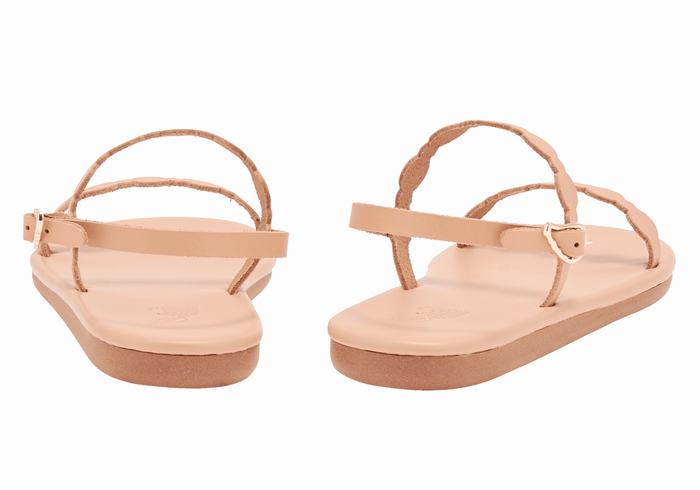 Sandali Con Cinturino Sul Retro Ancient Greek Sandals Orion Donna Beige | VYE3894YB