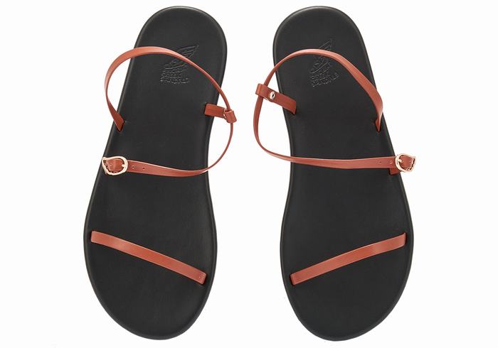 Sandali Con Cinturino Sul Retro Ancient Greek Sandals Niove Donna Marroni Scuro | XIY8160ZL