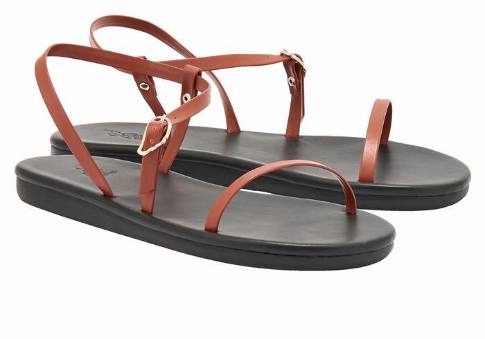 Sandali Con Cinturino Sul Retro Ancient Greek Sandals Niove Donna Marroni Scuro | XIY8160ZL