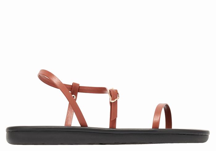 Sandali Con Cinturino Sul Retro Ancient Greek Sandals Niove Donna Marroni Scuro | XIY8160ZL