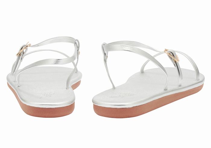 Sandali Con Cinturino Sul Retro Ancient Greek Sandals Niove Donna Argento | YCT2510IS