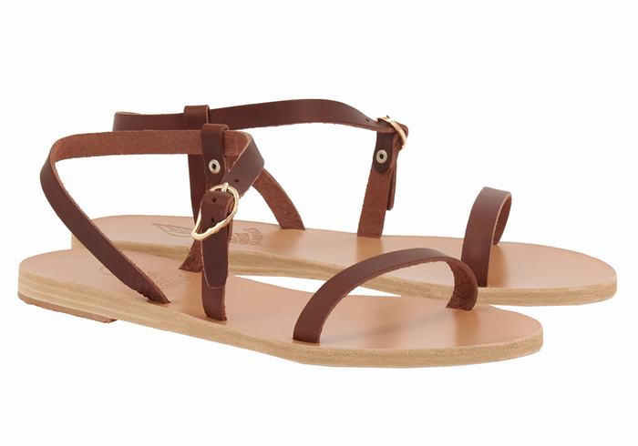 Sandali Con Cinturino Sul Retro Ancient Greek Sandals Niove Leather Donna Caffè | KTJ4132LQ