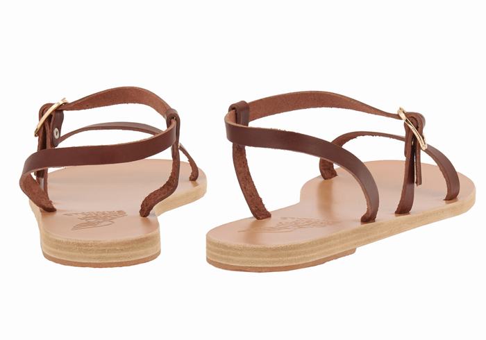 Sandali Con Cinturino Sul Retro Ancient Greek Sandals Niove Leather Donna Caffè | KTJ4132LQ