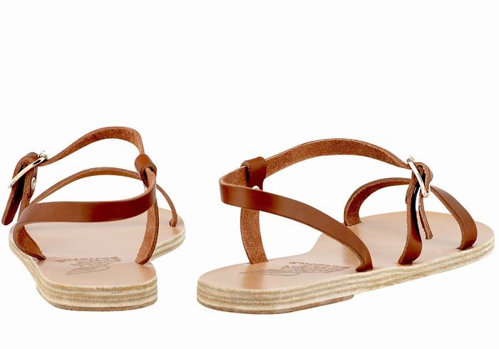 Sandali Con Cinturino Sul Retro Ancient Greek Sandals Niove Leather Donna Marroni Scuro | PRW4323BH