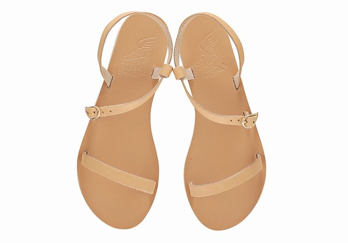 Sandali Con Cinturino Sul Retro Ancient Greek Sandals Niove Leather Donna Beige | IHN9637OR