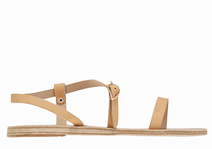 Sandali Con Cinturino Sul Retro Ancient Greek Sandals Niove Leather Donna Beige | IHN9637OR