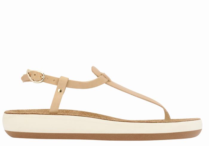 Sandali Con Cinturino Sul Retro Ancient Greek Sandals Lito Comfort Donna Beige | FPF7465SJ