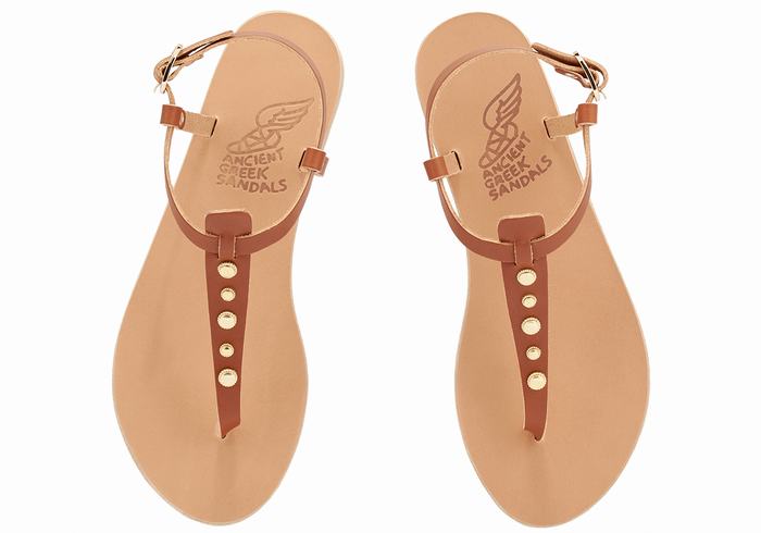 Sandali Con Cinturino Sul Retro Ancient Greek Sandals Lito Bee Donna Marroni Scuro | EOF2558SF