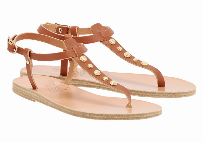 Sandali Con Cinturino Sul Retro Ancient Greek Sandals Lito Bee Donna Marroni Scuro | EOF2558SF