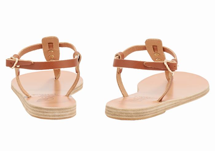 Sandali Con Cinturino Sul Retro Ancient Greek Sandals Lito Bee Donna Marroni Scuro | EOF2558SF