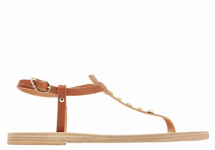 Sandali Con Cinturino Sul Retro Ancient Greek Sandals Lito Bee Donna Marroni Scuro | EOF2558SF