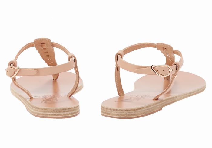 Sandali Con Cinturino Sul Retro Ancient Greek Sandals Lito Bee Donna Beige | RXJ5258NV