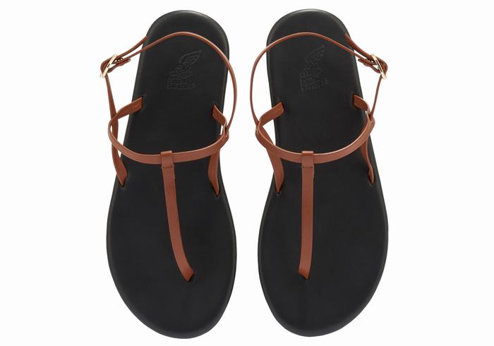 Sandali Con Cinturino Sul Retro Ancient Greek Sandals Lito Flip Flop Donna Marroni Scuro | LCZ9549OX