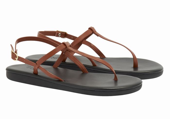 Sandali Con Cinturino Sul Retro Ancient Greek Sandals Lito Flip Flop Donna Marroni Scuro | LCZ9549OX