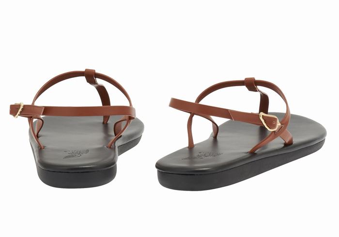 Sandali Con Cinturino Sul Retro Ancient Greek Sandals Lito Flip Flop Donna Marroni Scuro | LCZ9549OX