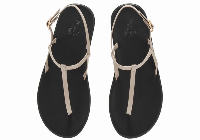 Sandali Con Cinturino Sul Retro Ancient Greek Sandals Lito Flip Flop Donna Grigie Marroni | GQZ563PS