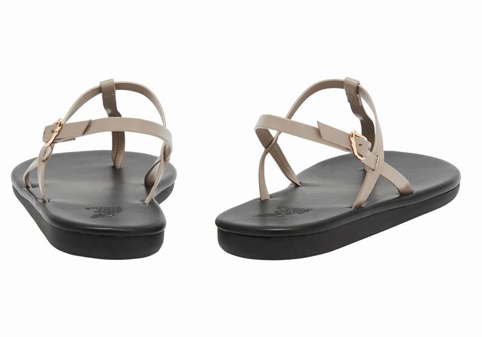 Sandali Con Cinturino Sul Retro Ancient Greek Sandals Lito Flip Flop Donna Grigie Marroni | GQZ563PS