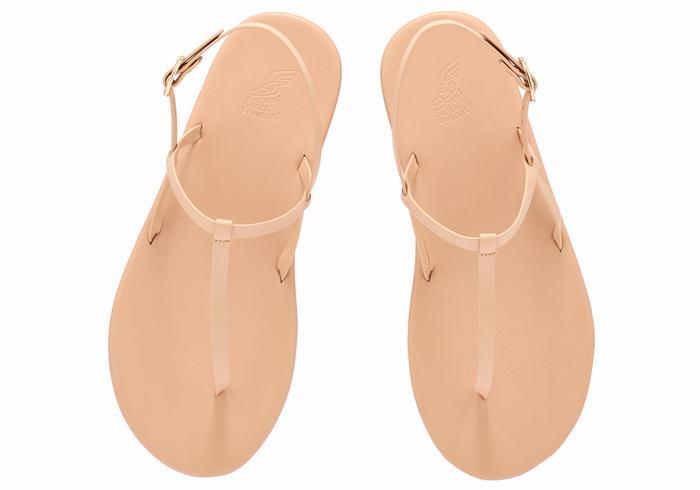 Sandali Con Cinturino Sul Retro Ancient Greek Sandals Lito Flip Flop Donna Beige | JAI9965CT