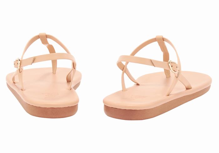 Sandali Con Cinturino Sul Retro Ancient Greek Sandals Lito Flip Flop Donna Beige | JAI9965CT