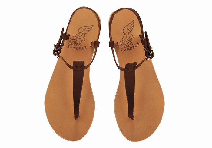 Sandali Con Cinturino Sul Retro Ancient Greek Sandals Lito Flip Flop Leather Donna Caffè | FKM7429FU