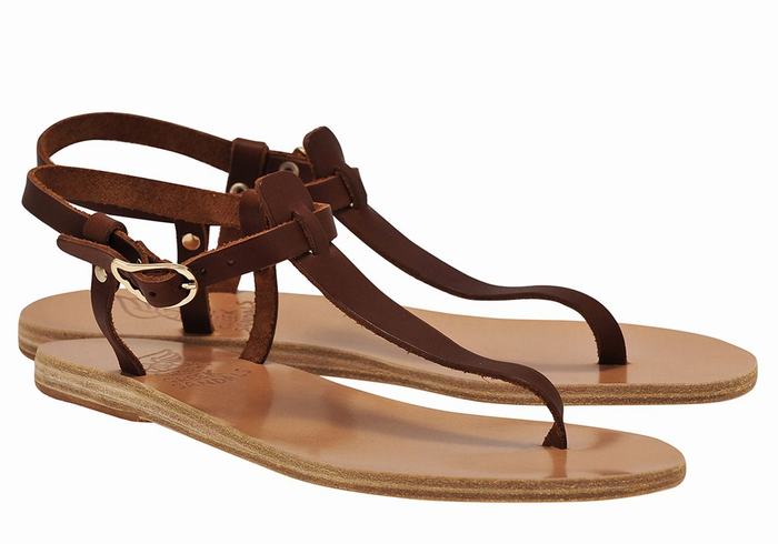 Sandali Con Cinturino Sul Retro Ancient Greek Sandals Lito Flip Flop Leather Donna Caffè | FKM7429FU