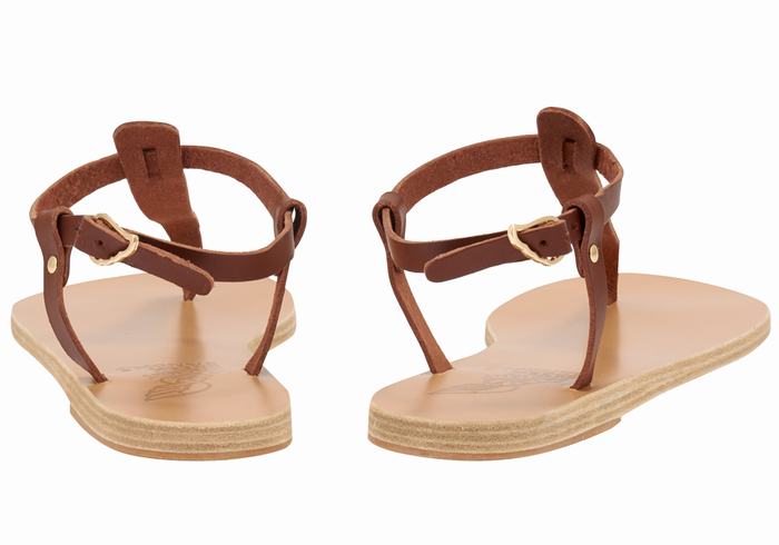 Sandali Con Cinturino Sul Retro Ancient Greek Sandals Lito Flip Flop Leather Donna Caffè | FKM7429FU